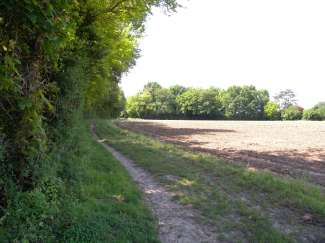 DSCN0117.JPG